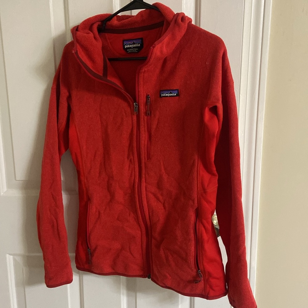 Hooded zip Patagonia